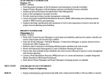 Sample Resume for Project Planner Scheduler Project Scheduler Resume Samples