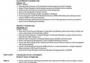 Sample Resume for Project Planner Scheduler Project Scheduler Resume Samples