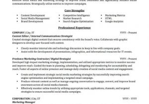 Sample Resume for Promotion within Same Company Advertising & Marketing Resume Sample Professional Resume …
