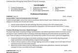 Sample Resume for Promotion within Same Company Examples Advertising & Marketing Resume Sample Professional Resume …