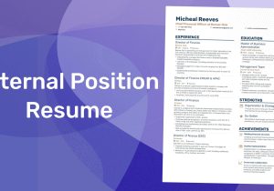 Sample Resume for Promotion within Same Company Examples Resume for Internal Position â How to Make One