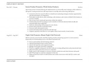 Sample Resume for Promotion within Same Company Promoter Resume Example & Writing Guide 12 Samples Pdf 2020