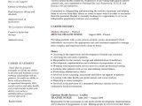 Sample Resume for Psychiatric Long Term Care Nurse Mental Health Nurse Cv Pdf Health Care Nursing