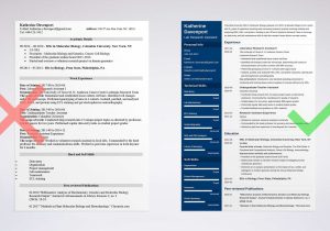 Sample Resume for Public Policy Research assistant Research assistant Resume: Sample Job Description & Skills
