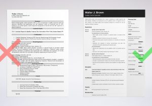 Sample Resume for Quality Control Officer Quality Control Resume Examples (job Description & Skills)
