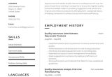 Sample Resume for Quality Control Position Quality assurance Resume Example & Writing Guide Â· Resume.io