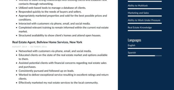 Sample Resume for Real Estate Appraiser Real Estate Resume Examples & Writing Tips 2022 (free Guide)