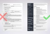 Sample Resume for Real Estate Job Real Estate Agent Resume Samples & Writing Guide