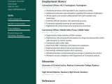 Sample Resume for Recently Released Inmates Correctional Officer Resume Examples & Writing Tips 2021 (free Guide)