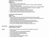 Sample Resume for Retail Sales Position Retail Sales associate Resume Examples Inspirational Furniture …