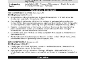 Sample Resume for Retired Civil Engineer Personal assistant Resume Description 2021 – Shefalitayal
