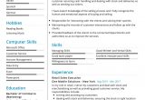 Sample Resume for Sales and Marketing Executive Sales Executive Resume Example Cv Sample [2020] – Resumekraft