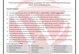 Sample Resume for Sales and Marketing Executive Sales Sample Resumes, Download Resume format Templates!