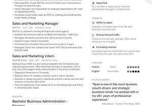 Sample Resume for Sales and Marketing Manager Job-winning Sales and Marketing Professional Resume Examples …