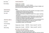 Sample Resume for Sales and Marketing Manager Marketing Manager Resume Example, Cv Template, Skills, India …