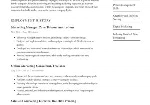 Sample Resume for Sales and Marketing Manager Marketing Manager Resume Examples & Writing Tips 2021 (free Guide)