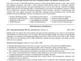 Sample Resume for Sales and Marketing Manager Marketing Resume Examples