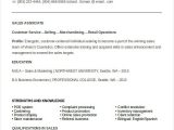 Sample Resume for Sales assistant with No Experience 7 Sales associate Resume Templates Pdf Doc