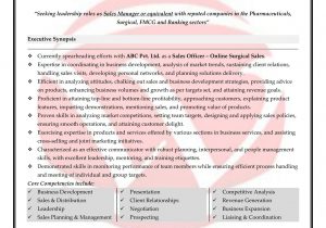 Sample Resume for Sales Executive Fresher Pdf Sales Sample Resumes, Download Resume format Templates!