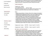 Sample Resume for Sales Lady In Department Store Sales Representative Resume Example, Cv, Template, assistant, No …