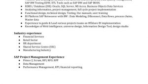 Sample Resume for Sap Bi Consultant Business Intelligence Consultant Resume 1 9-2018 Sap Bi En