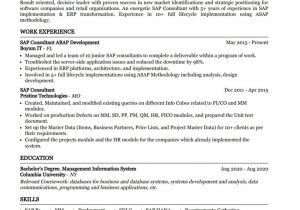 Sample Resume for Sap Mm Consultant Sap Consultant Resume Example (best Action Verbs & Skills) Priwoo