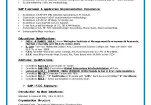 Sample Resume for Sap Mm Consultant Sap Resume Writing Services: It Resume Service