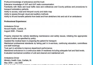 Sample Resume for School Bus Driver Position School Bus Driver Cv October 2021