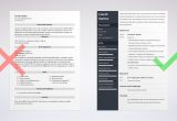 Sample Resume for School Job Entry Level New Teacher Resume with No Experience [entry Level Sample]