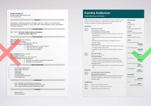 Sample Resume for School Media Specialist Digital Marketing Resume Examples (guide & Best Templates)