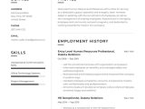 Sample Resume for School Resource Officer Entry Level Hr Resume Examples & Writing Tips 2022 (free Guide)