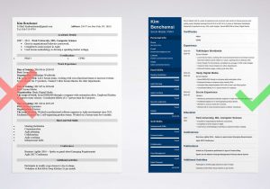 Sample Resume for Scrum Master Role Scrum Master Resume Samples (template & Guide)