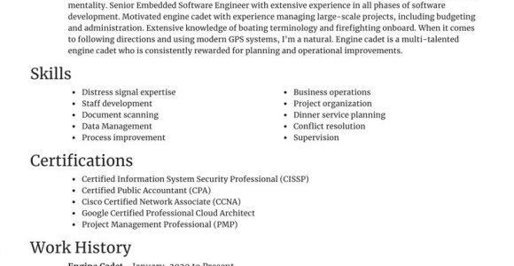 Sample Resume for Seaman Engine Cadet Engine Cadet Resume Maker & Example Rocket Resume
