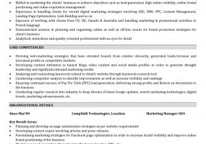 Sample Resume for Search Engine Evaluator Search Engine Marketing Resume – Cerel