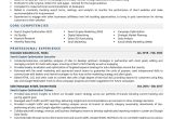 Sample Resume for Search Engine Optimization Search Engine Optimization Executive Resume Examples & Template …