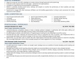 Sample Resume for Search Engine Optimization Search Engine Optimization Executive Resume Examples & Template …