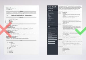 Sample Resume for Search Engine Optimization Seo Specialist Resume Sample & Guide (20lancarrezekiq Skills & Tips)