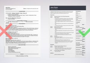 Sample Resume for Secretary with No Experience Secretary Resume: Examples Of Skills, Duties, & Objectives