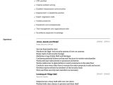 Sample Resume for Security Guard No Experience Security Guard Resume Samples All Experience Levels Resume.com …