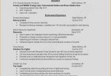 Sample Resume for Security Guard Philippines Sample Of Resume for Security Guard – Resume : Resume Sample #8697