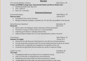 Sample Resume for Security Guard Philippines Security Guard Resume Sample format – Resume : Resume Sample #7677