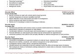 Sample Resume for Security Officer In India Security Agent Cv Examples October 2021