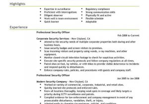 Sample Resume for Security Officer In India Security Manager Cv Example October 2021