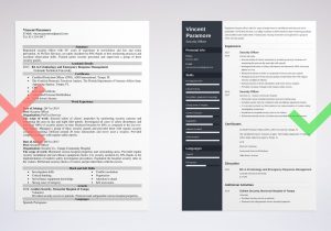 Sample Resume for Security Officer In India Security Officer Resume Sample & Guide (any Experience)