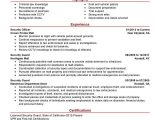 Sample Resume for Security Officer Position Security Guard Professional Resume Sample September 2021