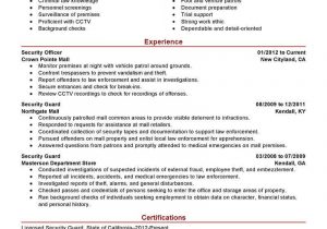 Sample Resume for Security Officer Position Security Guard Professional Resume Sample September 2021
