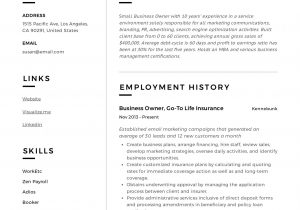 Sample Resume for Self Employed Business Owner Small Business Owner Resume Guide  19 Examples Pdf 2020