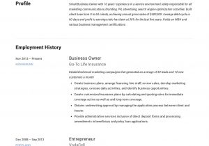 Sample Resume for Self Employed Business Owner Small Business Owner Resume Guide  19 Examples Pdf 2020