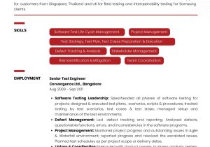 Sample Resume for Senior Automation Tester Sample Resume Of software Testing Professional with Career Break …