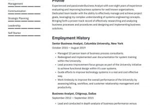 Sample Resume for Senior Business Analyst Senior Business Analyst Resume Template 2019 Â· Resume.io